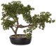 Sztuczne Drzewko Bonsai w Doniczce zielone Dekoracja  38cm x 45cm x25cm 1