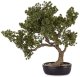 Sztuczne Drzewko Bonsai w Doniczce zielone Dekoracja   58cm x 60cm x 34cm 1