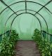 Tunel foliowy ogrodowy 18m2 6m x 3m x 2m zielony Shark Tools 6