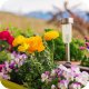 Nawóz płynny do surfinii i pelargonii Surfinie Pelargonie Twój Ogród 500ml 10