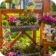 Nawóz do pelargonii, surfinii, supertunii vista 150g Twój Ogród 10