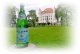Woda mineralna SAN PELLEGRINO gazowana 6x 0,25l 4