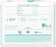 Pampers Pieluchy PAMPERS Harmonie rozmiar 3 (6-10kg) 31szt 2