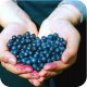 Twój Ogród Nawóz do borówek i hortensji 1kg - zmienia pH gleby (zakwasza) 3