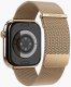 Milanese Loop 2 42 | 44 | 45 | 49mm One Size - Sunset Gold 4