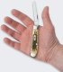 Nóż Składany Case Mini Trapper SS Amber Bone 1
