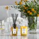 ACQUA DI PARMA Insieme Scented Candle 200g 2