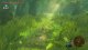 NS2 The Legend of Zelda: Breath of the Wild (N2S7027) 2