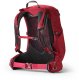 Plecak turystyczny Gregory Jade LT 25 l Czerwony 1