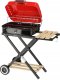 GRILL WÄGLOWY SKÅADANY 45*33.5CM 3