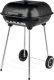 GRILL WÄGLOWY Z WÄDZARNIÄ, RUSZT 45*40CM 6