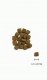 ORIJEN Small Breed Marine Fish małe rasy pies 1,8kg 2