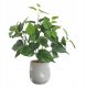 ITIMPORT SZTUCZNA Roślina W DONICZCE REALISTYCZNA 38cm FILODENDRON do DOMU BIURA 1