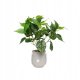 ITIMPORT SZTUCZNA Roślina W DONICZCE REALISTYCZNA 38cm FILODENDRON do DOMU BIURA 2