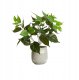 ITIMPORT SZTUCZNA Roślina W DONICZCE REALISTYCZNA 38cm FILODENDRON do DOMU BIURA 3