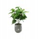 ITIMPORT SZTUCZNA Roślina W DONICZCE REALISTYCZNA 38cm FILODENDRON do DOMU BIURA 4