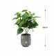 ITIMPORT SZTUCZNA Roślina W DONICZCE REALISTYCZNA 38cm FILODENDRON do DOMU BIURA 5