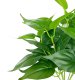 ITIMPORT SZTUCZNA Roślina W DONICZCE REALISTYCZNA 38cm FILODENDRON do DOMU BIURA 7