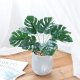 SZTUCZNA Roślina W DONICZCE REALISTYCZNA 33cm MONSTERA DELICIOSA Piękna 3
