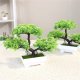 SZTUCZNA Roślina BONSAI w Doniczce DRZEWKO MINI Piękne REALISTYCZNE Ozdobne 3