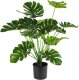 SZTUCZNA Roślina MONSTERA DELICIOSA 50-75 cm DUŻA Ozdoba REALISTYCZNA XL 1