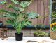 SZTUCZNA Roślina MONSTERA DELICIOSA 50-75 cm DUŻA Ozdoba REALISTYCZNA XL 3