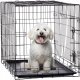 Klatka Kennelowa dla psa M 61 x 42 x 48,5 cm PET7611 CHOMIK 13