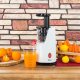 Zilan ZLN4014 Juicer 200W 2