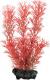 Tetra DecoArt Plant S Foxtail Red 1