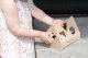Polesie New! Baby's only wooden shape sorting toy house 10+ Earth BO-860.863.800.50 4