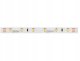 Taśma LED LED Taśma line 300 SMD3528 24V 3000K 2,4W 5 lat gwar. 241758/30m/ 2