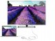 AUDA CableTime Adapter mini DisplayPort - HDMI + SVGA (D-Sub 15-pin) + DVI-I (24+5pin) Full HD (wtyk / 3x gniazdo) biały 15cm 6