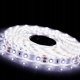 Taśma LED Nextec ST / 24V / COB / 9W / 480 LED / IP20 / 6500K +/-300K / 100lm/W / 5m / 10mm 4