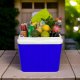 Cool box Bravo 25 Ultra blue 8000303316534 11