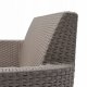 Garden chairs 2 pcs. Salemo Duo besi 8711245158846 5