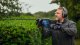 Cordless hedge trimmer BOSCH GHE 18V-60 II Solo 4