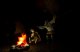 SONG IN THE SMOKE PS VR2 6