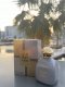 Fragrance World Al Raiee 100ml kvepalai Moterims EDP 3