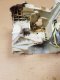 Karter do pilarki STIHL 024 026 MS240 MS260 ! PROM 2