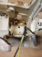 Karter do pilarki STIHL 024 026 MS240 MS260 ! PROM 3
