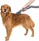 SZCZOTKA DO CZESANIA PSA KOTA Dyson V7 V10 V11 V15 8