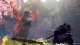 Wild Hearts  Xbox Series X - Spele 9