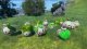 Sonic Frontiers  Xbox One / Xbox Series X - Spele 13