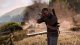 Sniper Elite: Resistance  Xbox One / Xbox Series X - Spele 7