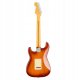 Fender American Professional II Stratocaster Electric Guitar, Sienna Sunburst 2
