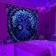 ITIMPORT Dekoracja ŚCIENNA UV OBRAZ Fluorescencyjny GOBELIN ODBLASK 150x150cm Grzyby 4