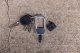 Gerber GERBER KEY CHAIN TWIST TOOL 6