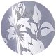 Firanka Isola 300 x 150 cm DomoweTekstylia | WN3545 150 6