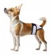 WAU DOG VET MAJTKI HIGIENICZNE DLA KOTÓW  I PSÓW NA RZEP  M 40-50cm 1