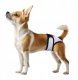WAU DOG VET MAJTKI HIGIENICZNE DLA KOTÓW  I PSÓW NA RZEP  S 34-42cm 2